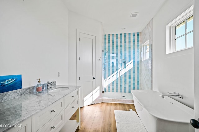 bathroom featuring plus walk in shower, vanity, and wood-type flooring