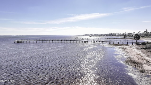 dock area featuring a water view