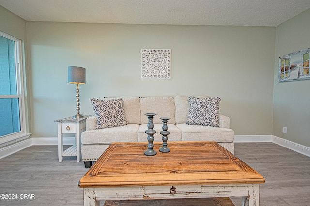 living room featuring a textured ceiling and hardwood / wood-style flooring