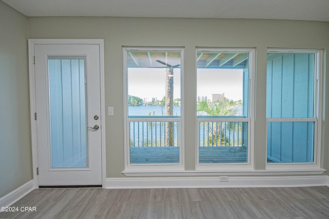 doorway to outside with wood-type flooring