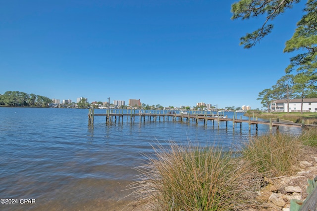 dock area with a water view