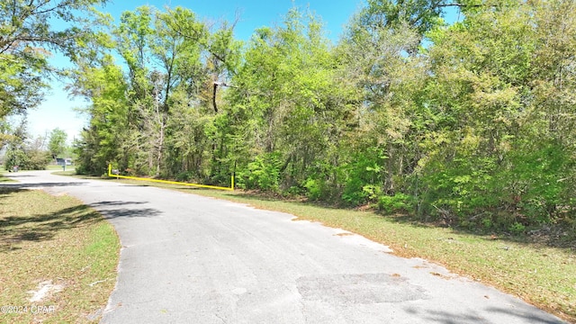 Listing photo 2 for 0000 Indian Bluff Dr, Youngstown FL 32466