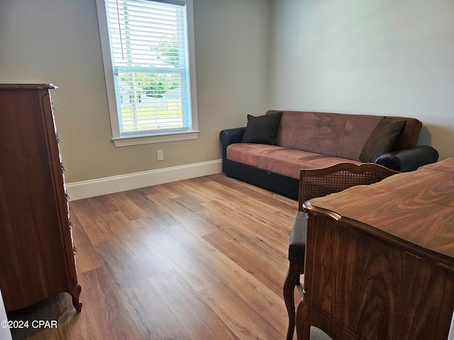 living room featuring light hardwood / wood-style floors