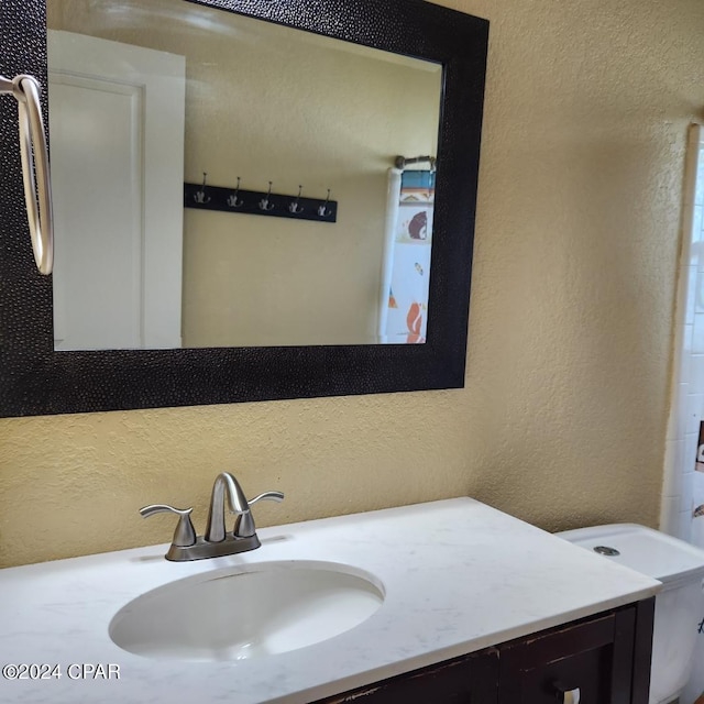 bathroom with toilet and vanity