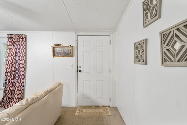 doorway featuring carpet and a textured ceiling