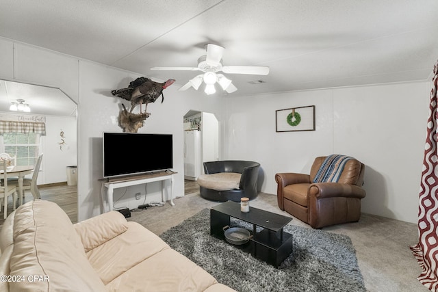 carpeted living room with ceiling fan and a textured ceiling