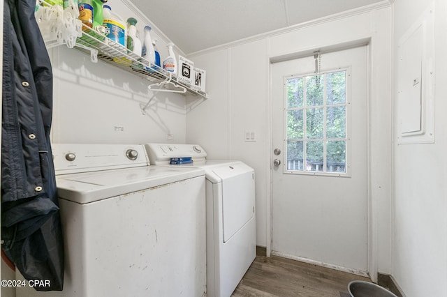 laundry area with hardwood / wood-style flooring and separate washer and dryer