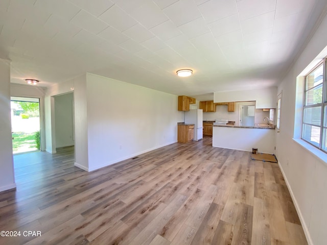 unfurnished living room with plenty of natural light, wood-type flooring, and sink