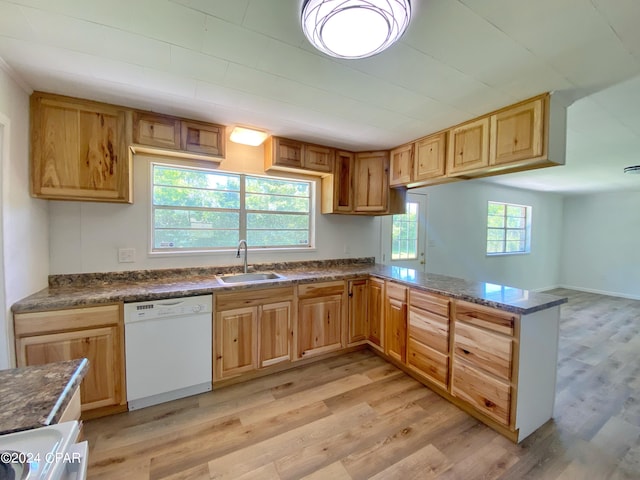 kitchen featuring sink, dishwasher, and light wood-type flooring