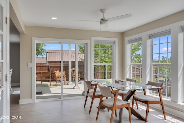 dining room featuring ceiling fan and light hardwood / wood-style floors