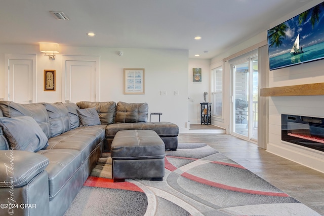 living room featuring wood-type flooring