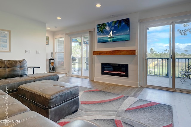 living room featuring wood-type flooring and a large fireplace