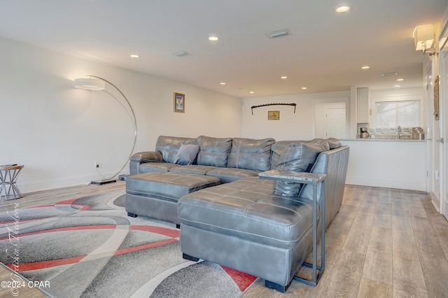 living room featuring wood-type flooring