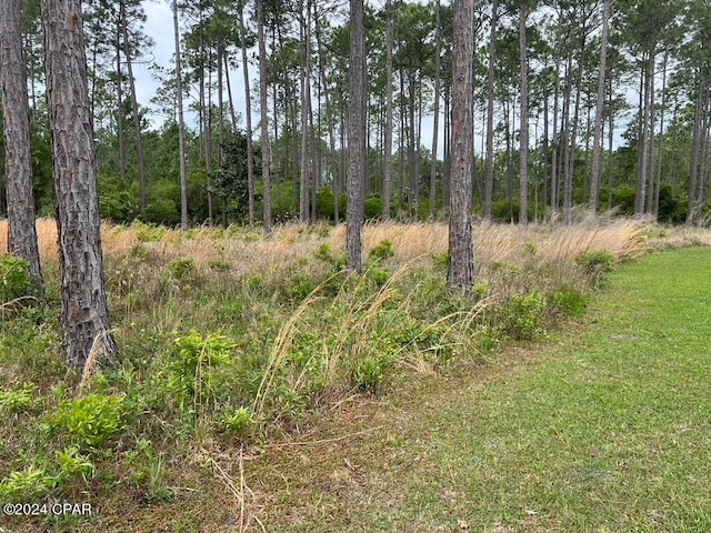 8548 Preservation Dr, Panama City Beach FL, 32413 land for sale