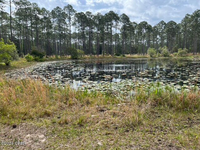 Listing photo 3 for 8548 Preservation Dr, Panama City Beach FL 32413