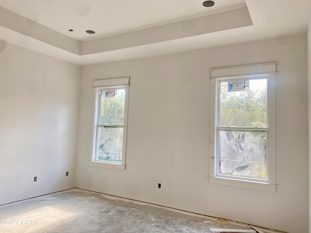 spare room featuring plenty of natural light and a raised ceiling