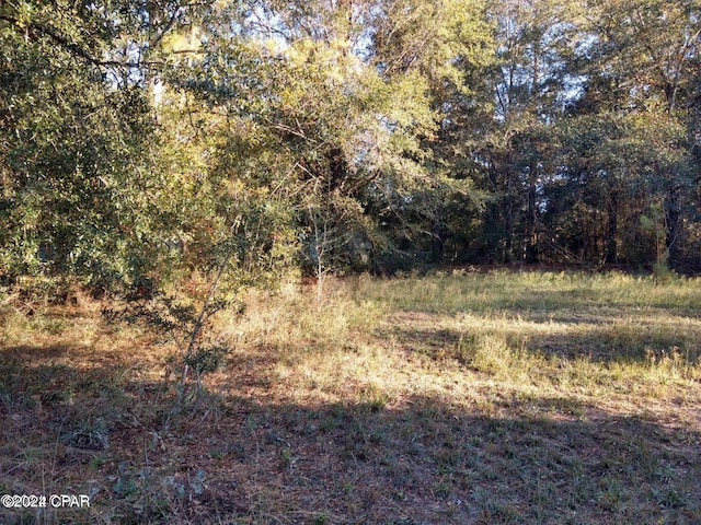 00 Marian Dr, Bonifay FL, 32425 land for sale