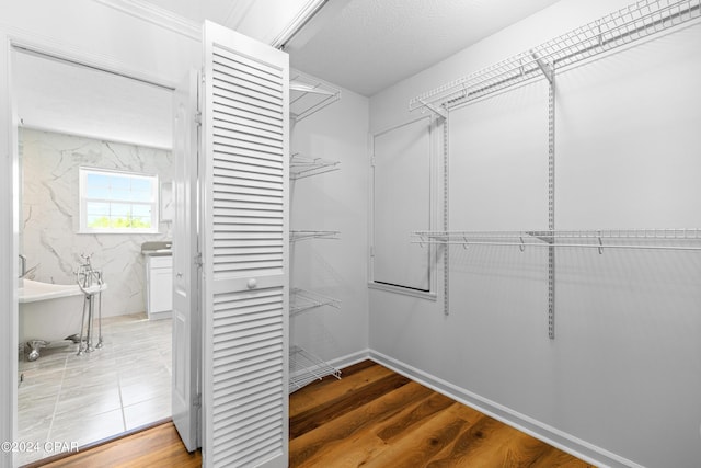 spacious closet featuring hardwood / wood-style floors