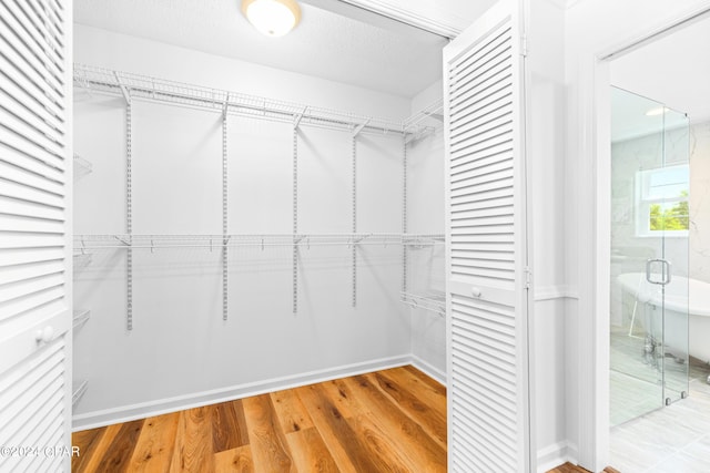 walk in closet with hardwood / wood-style floors