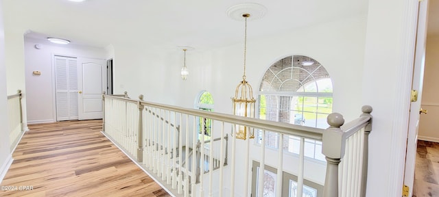 corridor featuring light hardwood / wood-style flooring and crown molding