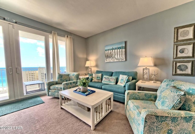 carpeted living room with plenty of natural light