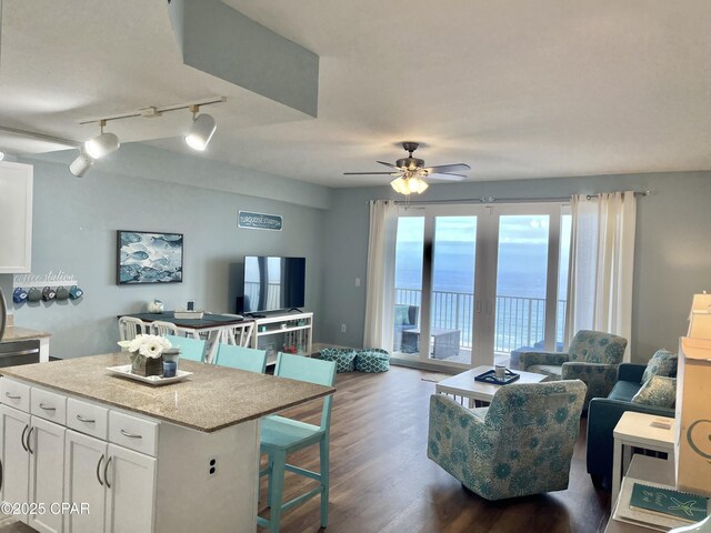 living room featuring dark hardwood / wood-style flooring and ceiling fan