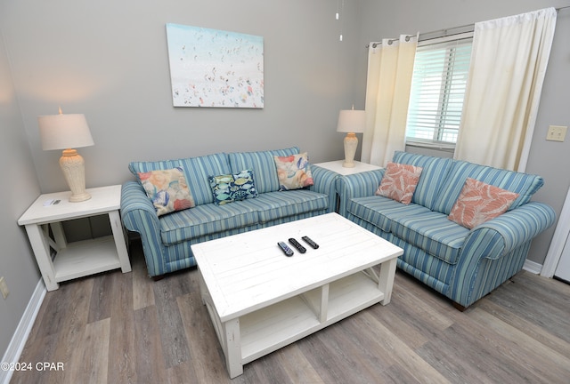 living room with hardwood / wood-style floors