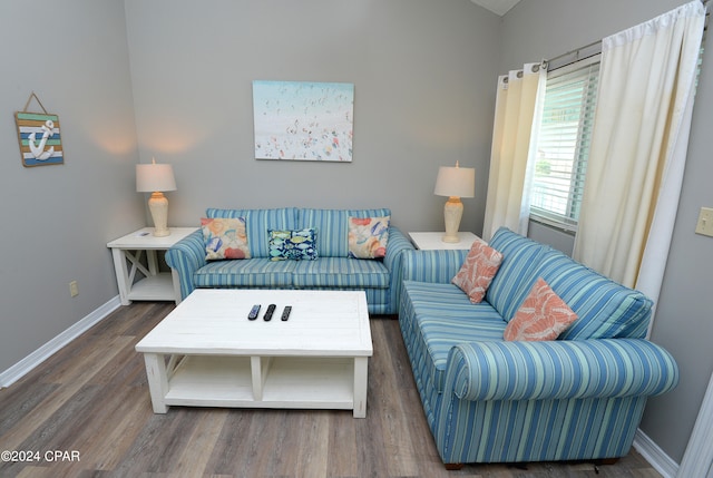 living room featuring dark wood-type flooring