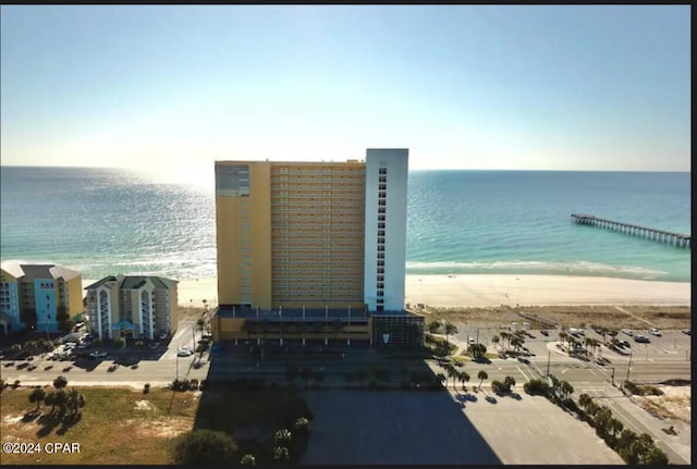 water view featuring a beach view