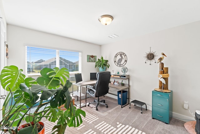 view of carpeted home office