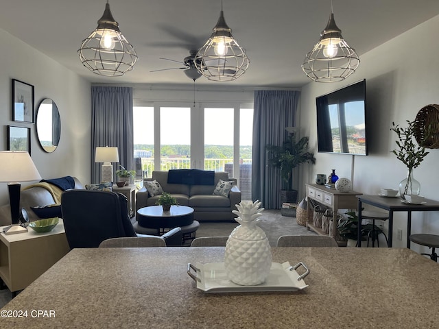 living area with a ceiling fan