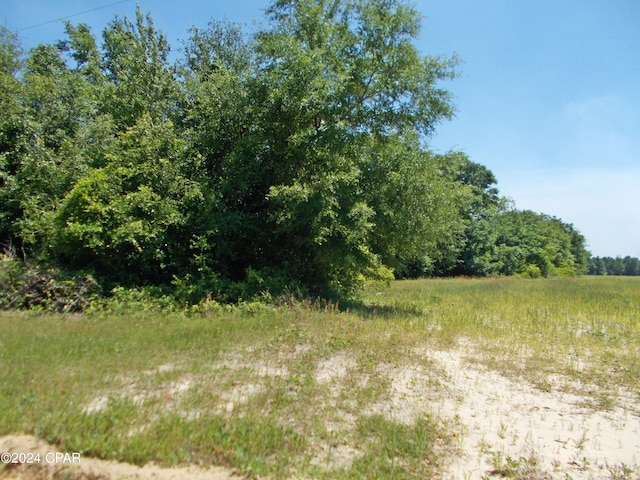 1AC Melon Ln, Grand Ridge FL, 32442 land for sale