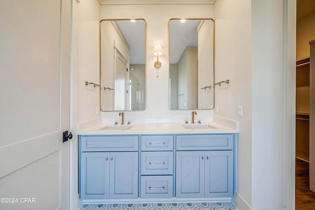 bathroom with vanity and wood-type flooring