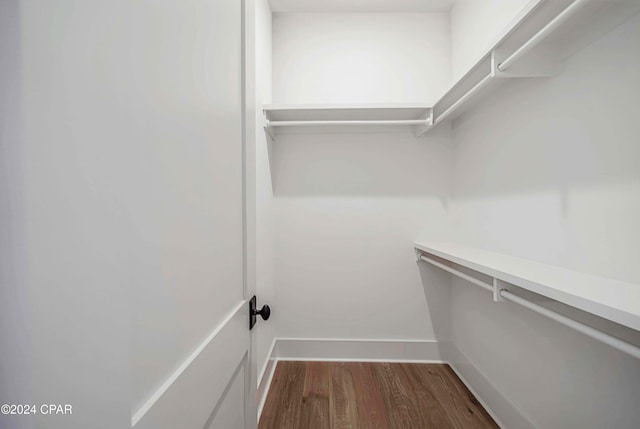 spacious closet featuring dark hardwood / wood-style floors