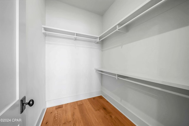 walk in closet with wood-type flooring