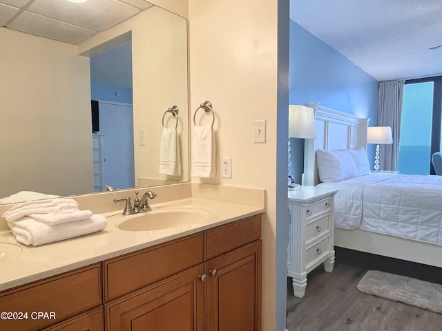 bathroom with wood-type flooring and vanity