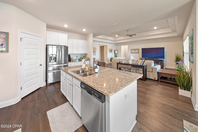 kitchen featuring stainless steel appliances, a tray ceiling, sink, and dark wood-type flooring