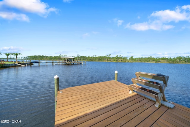 dock area with a water view