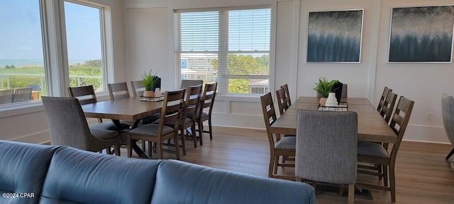 dining area with wood-type flooring