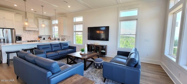 living room with hardwood / wood-style flooring, a wealth of natural light, crown molding, and sink