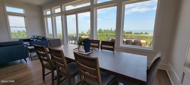 dining area with a healthy amount of sunlight, a water view, and wood-type flooring