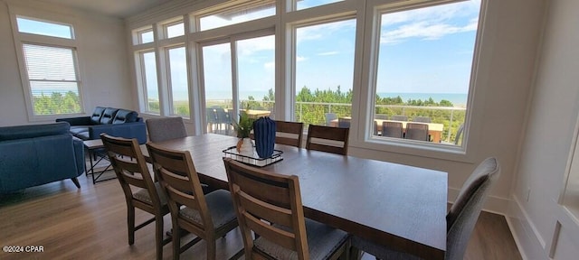 dining room featuring hardwood / wood-style floors