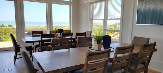 dining room featuring dark hardwood / wood-style floors, a healthy amount of sunlight, and a water view