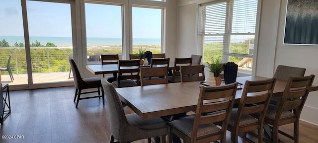 dining space featuring dark hardwood / wood-style flooring, a water view, and a wealth of natural light