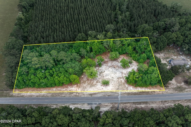 3513 River Rd, Vernon, FL 32462