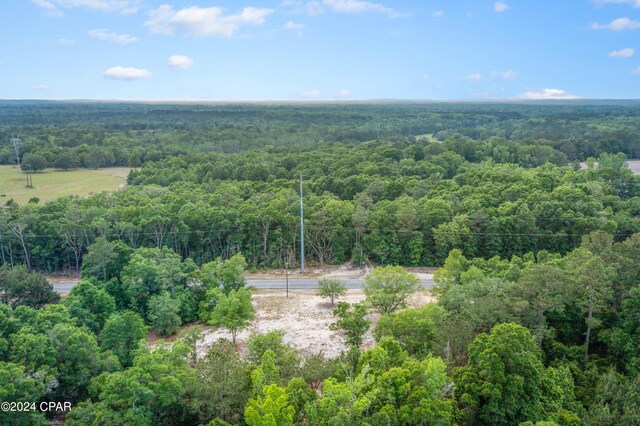 3513 River Rd, Vernon, FL 32462