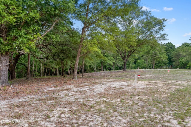 3513 River Rd, Vernon, FL 32462