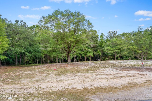 3513 River Rd, Vernon, FL 32462