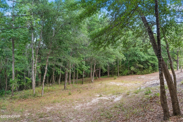 3513 River Rd, Vernon, FL 32462