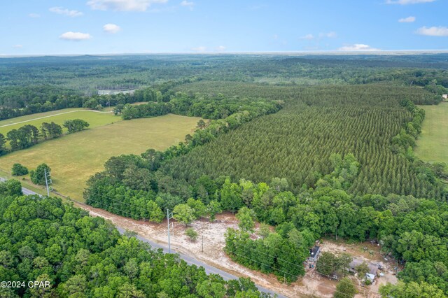 3513 River Rd, Vernon, FL 32462